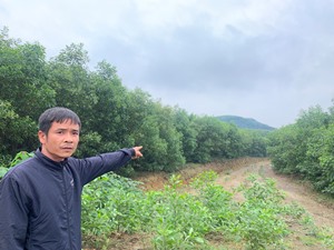 Hà Tĩnh: Chính quyền xã giao đất trái quy định, dân 7 năm đi đòi quyền lợi  